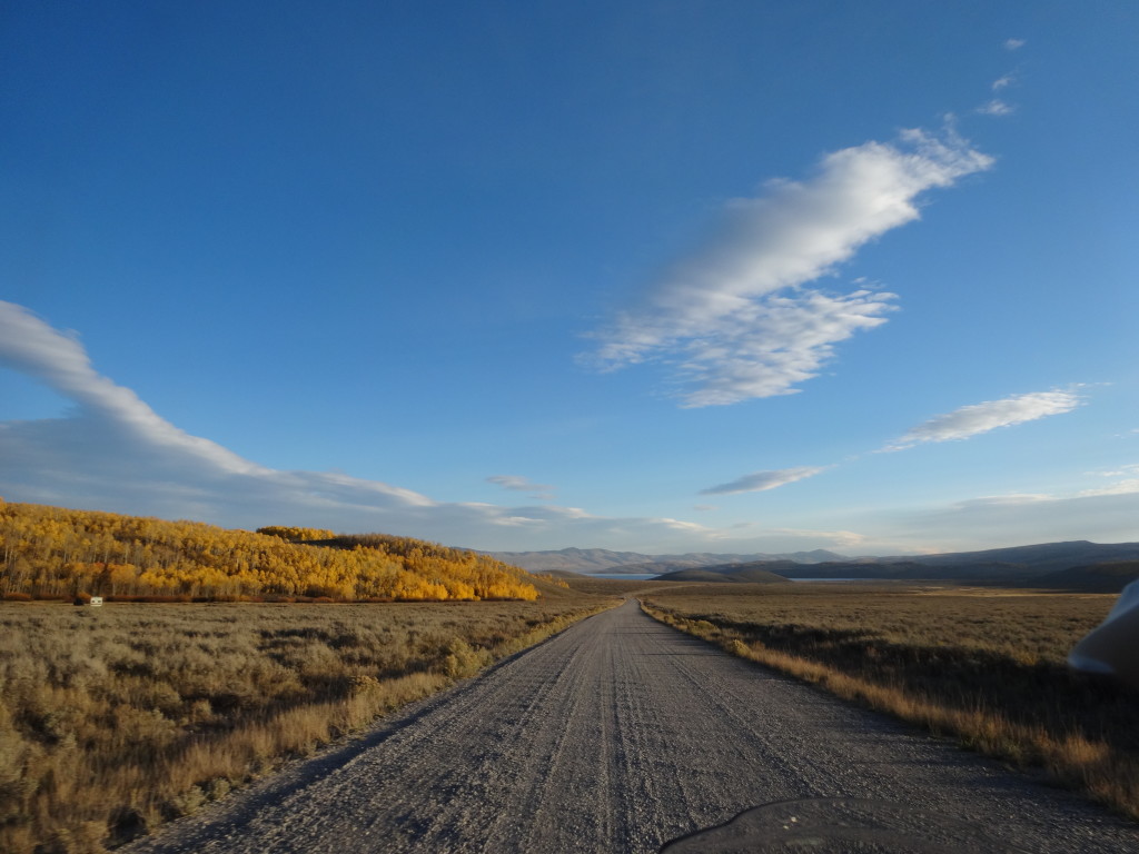 Uinta National Forest