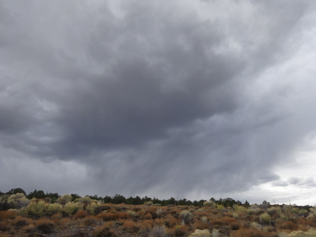 storm a brewing