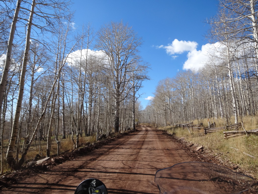 Kolob Trail 1