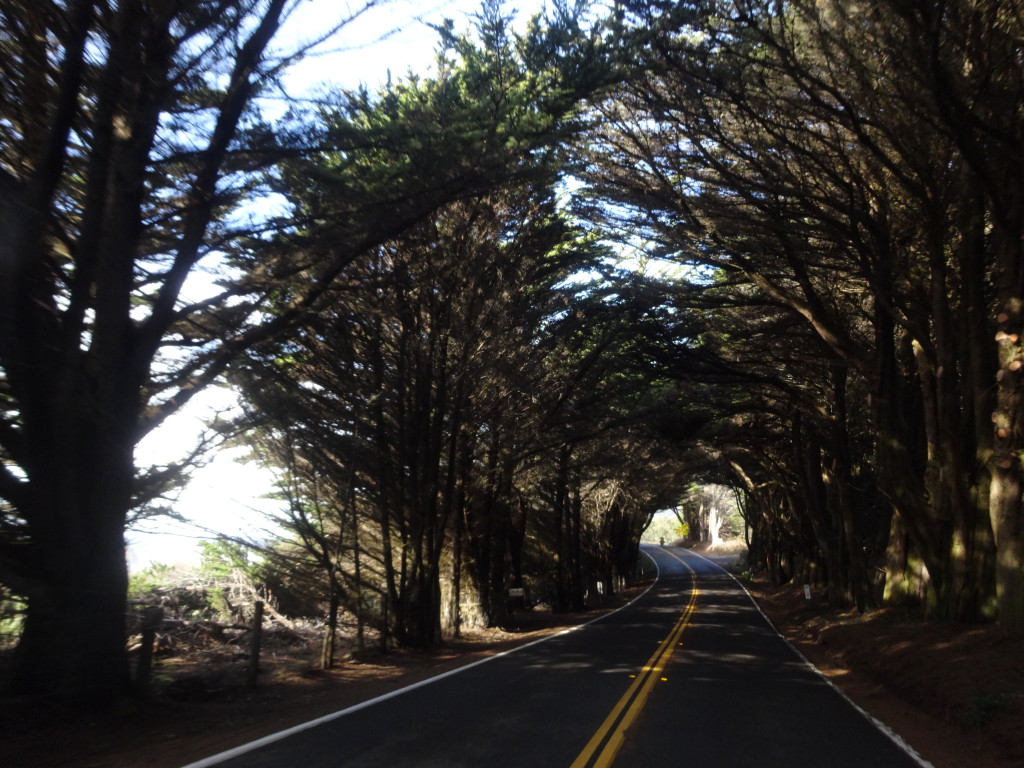 on our way to shelter cove