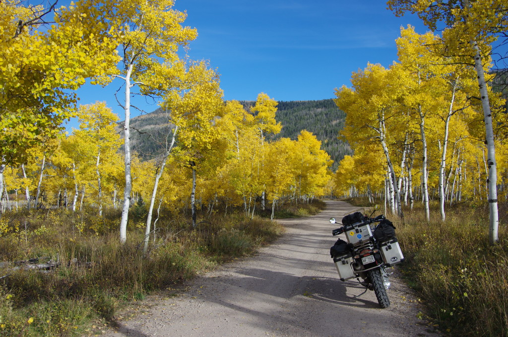 Uinta National Forest Wasatch