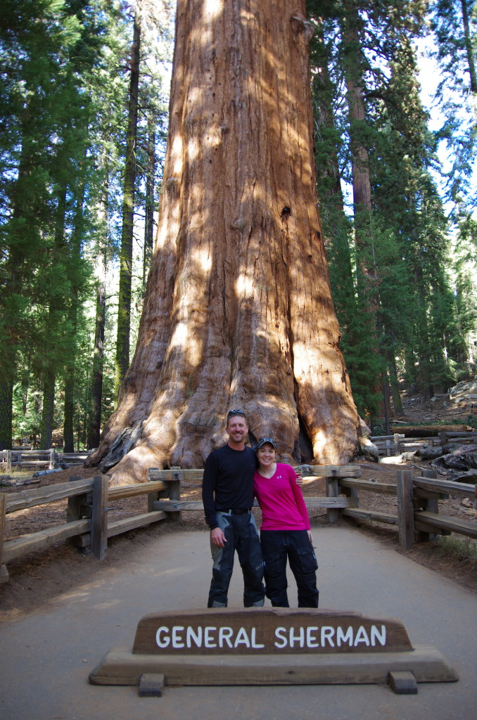 General Sherman Tree