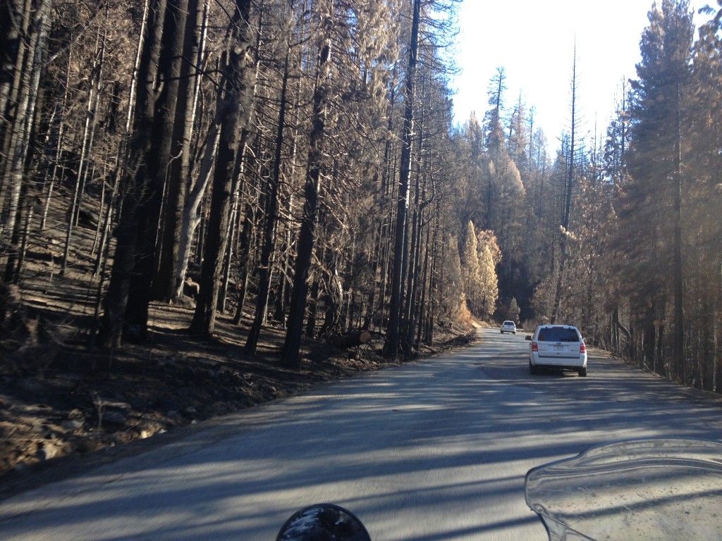 Eldorado National Forest 