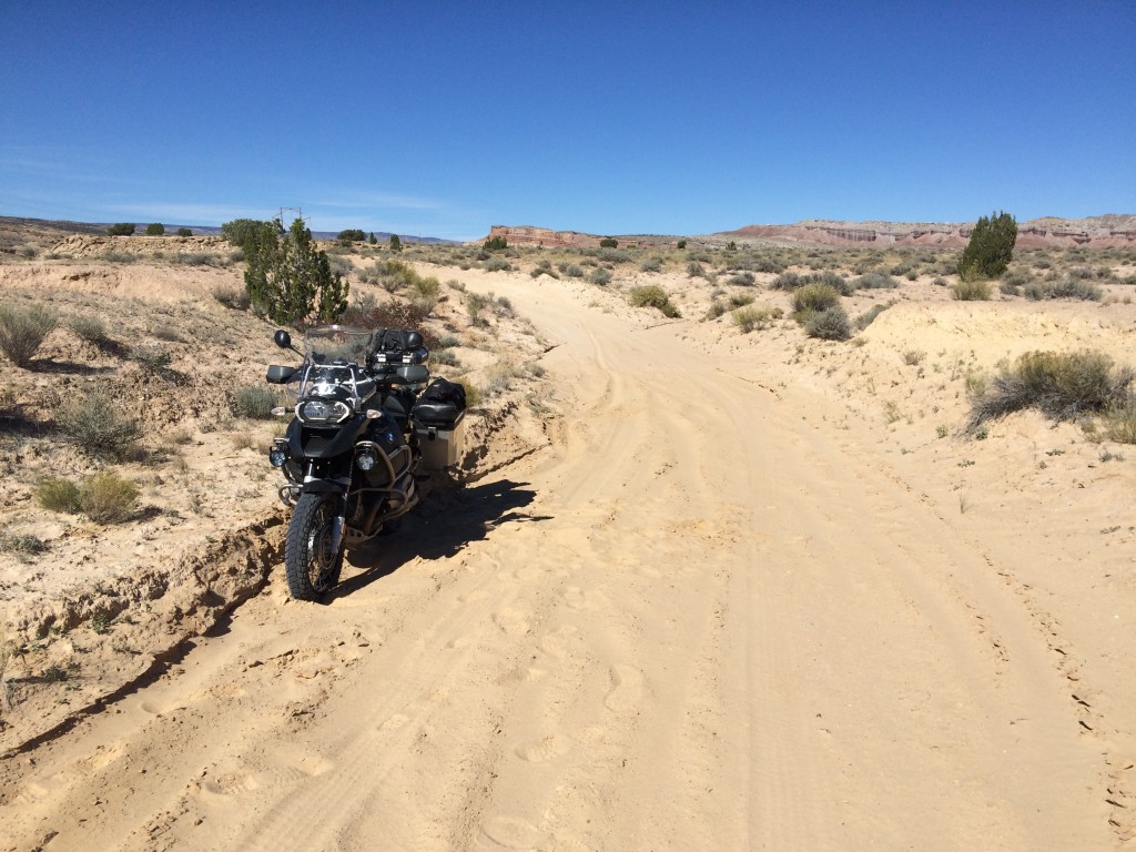 standing up on its own in the sand