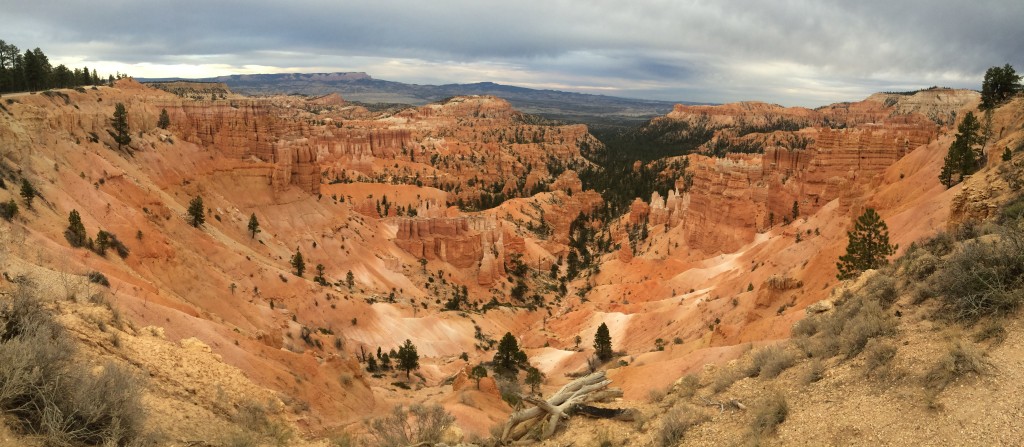 Bryce at Sunset